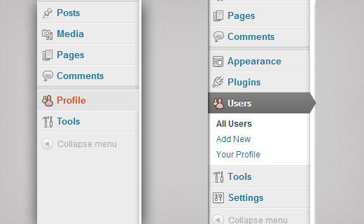 Editing user profile in WordPress