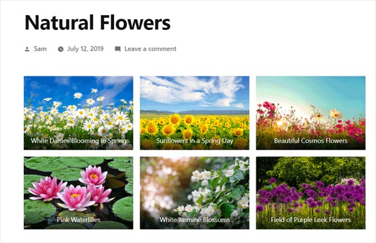 WordPress Photo Gallery Example