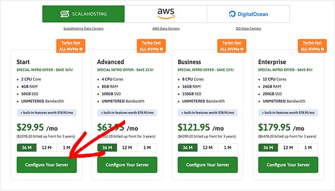 Scala Hosting pricing and plans