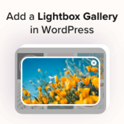 How to Add a Gallery in WordPress with a Lightbox Effect