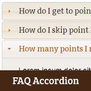 FAQ Accordion