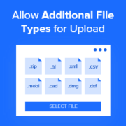 How to Add Additional File Types to Be Uploaded in WordPress