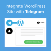 How to Integrate Your WordPress Site with Telegram