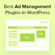 6 Best WordPress Ad Management Plugins and Solutions