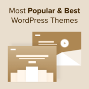 Most Popular and Best WordPress Themes