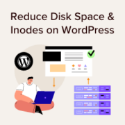 How to reduce disk space and inodes on WordPress