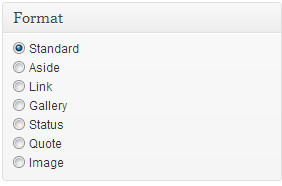 Post Formats Radio Button User Interface