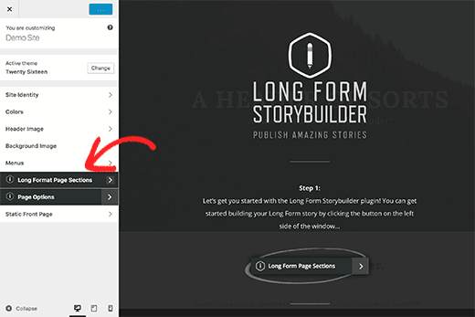 Long form content editor options inside customizer