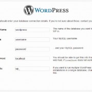 Providing database information during WordPress installation