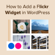 How to add a Flickr widget in WordPress