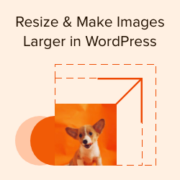 Resize make images larger in WordPress