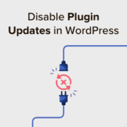 Disable plugin updates in WordPress