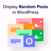 How to display random posts in WordPress