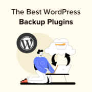 Best WordPress Backup Plugins