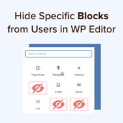 How to Hide blocks from specific users in WordPress editor