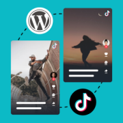 Best TikTok plugins for WordPress