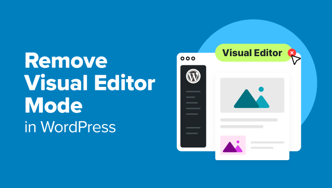 Remove Visual Editor Mode in WordPress