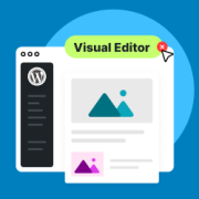 How to Remove Visual Editor Mode in WordPress