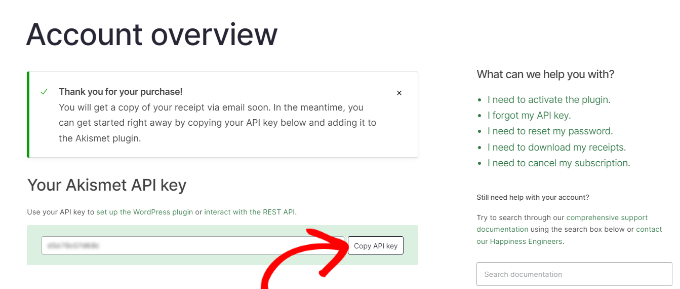 Copy the akistmet API key