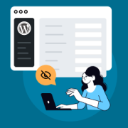 Hidden Secret Options Panel within your WordPress Admin Panel