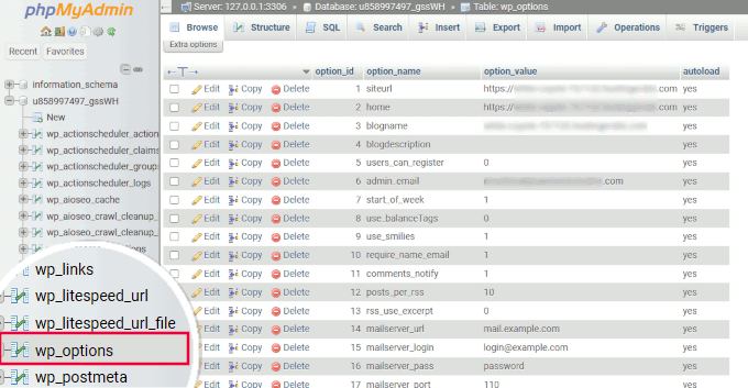 Options table in WordPress database