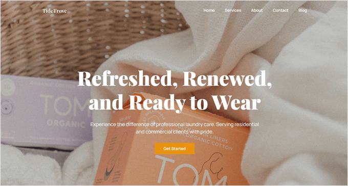 The laundry services SeedProd theme kit