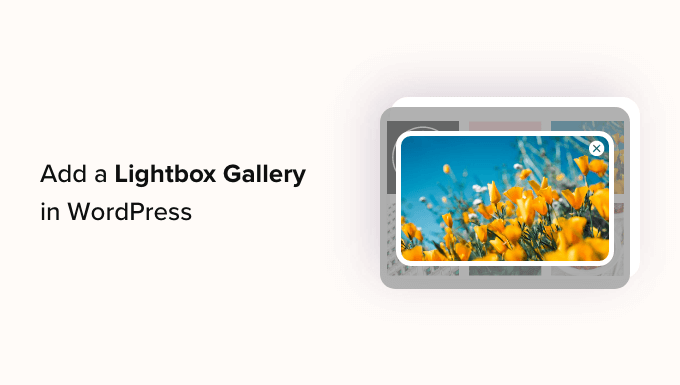 Wordpress lightbox store