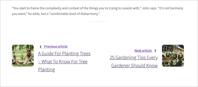 previous and next post example