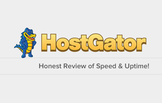 HostGator Review 2024 - Quality & Speed Tests (with Screenshots)