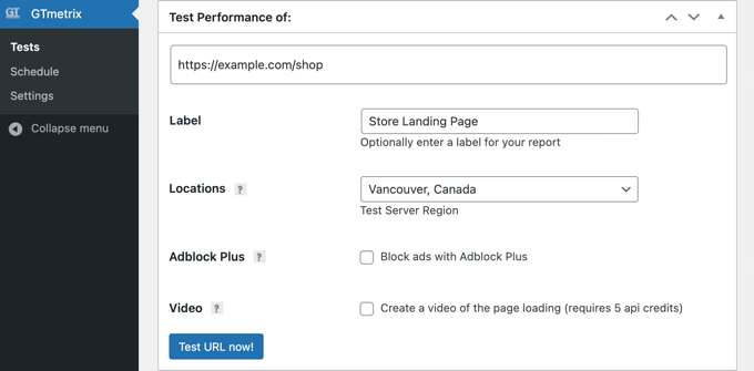 Running a Custom Test Using GTmetrix