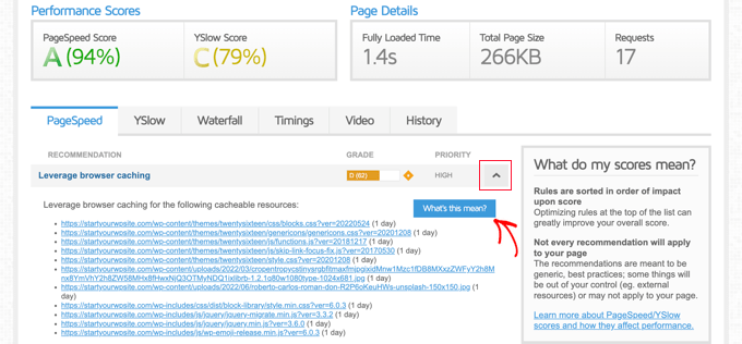 How to Use GTmetrix to Understand Website Performance - LearnWoo