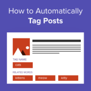 How to automatically tag your WordPress posts and save time