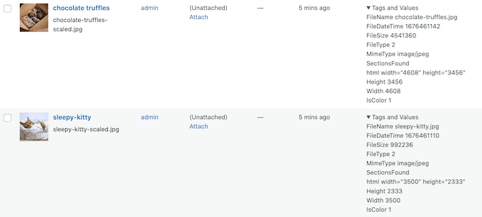 How to show EXIF photo data in the WordPress dashboard