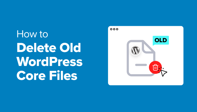 How to delete old WordPress core files
