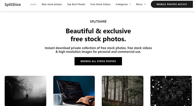 3,000+ Stay Cool Stock Photos, Pictures & Royalty-Free Images - iStock