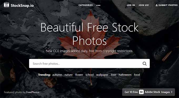 900+ Low Profile fotos de stock, imagens e fotos royalty-free - iStock