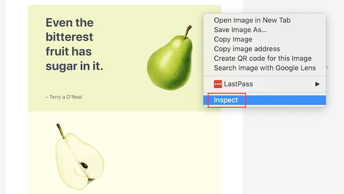 Chrome's inspection tool