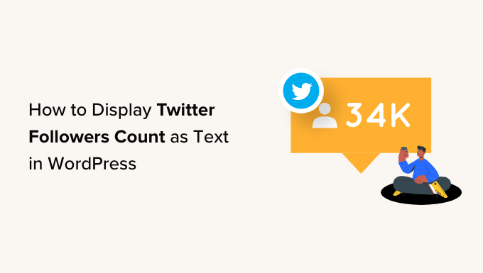 How to display Twitter followers count as text in WordPress