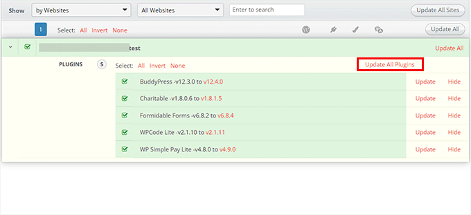 Click the Update All Plugins link