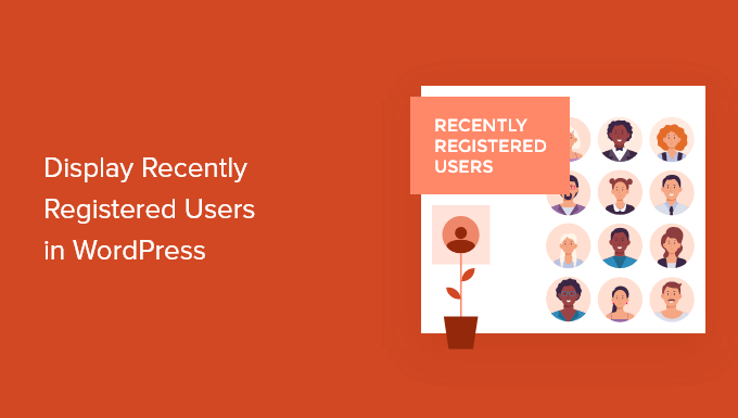 How to display recently registered users in WordPress (3 ways)