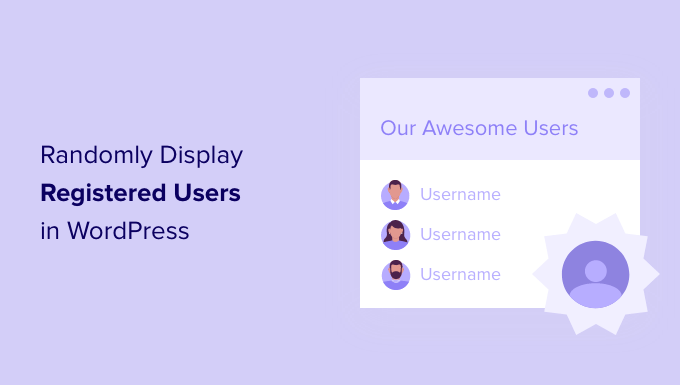 如何在WordPress中随机显示注册用户
