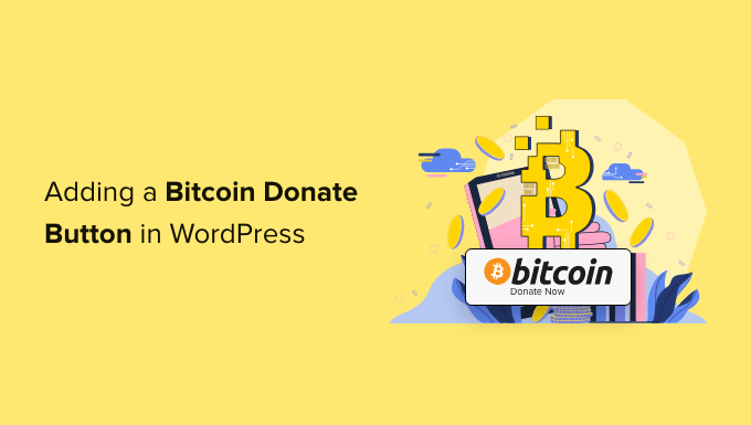 Bitcoin donation button and script download