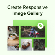 How to easily create responsive WordPress image galleries with Envira