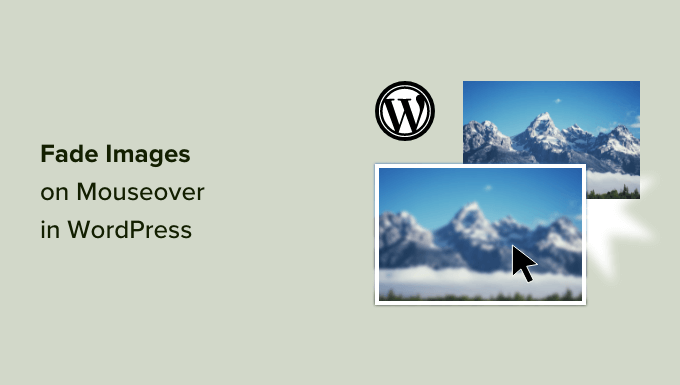 images-wordpress