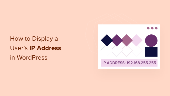 如何在 WordPress 中显示用户的 IP 地址