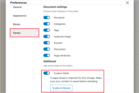 Display Custom Fields in Block Editor