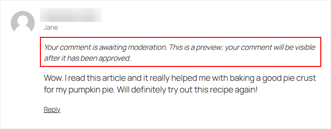 An example of a WordPress comment in moderation