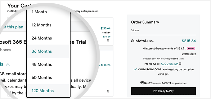 GoDaddy Cart Page-select payment term