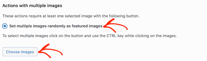 Replacing WordPress featured images at random