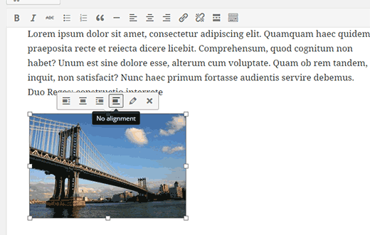 Inline image toolbar